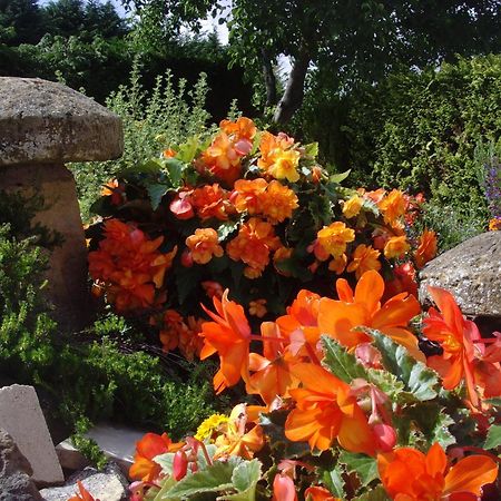 Brookleys Guest House Bidford Bagian luar foto